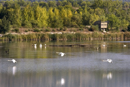 EDF pyrenees